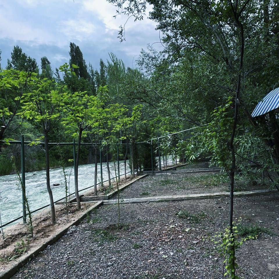 DAVR dacha